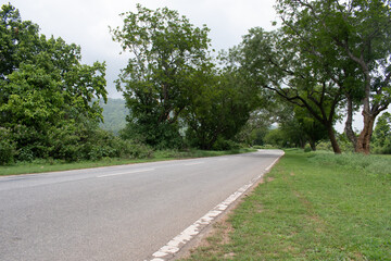 Fototapeta premium picturesque far stretched asphalt through the scenic surrounding forest on the plateau