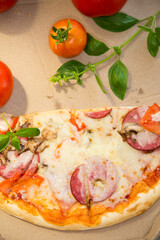 cooked pizza with salami and sausage in a box on a wooden table