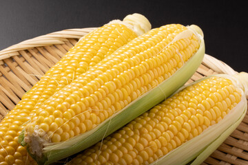 ［宮城県産］とうもろこし　品種：夢みらい