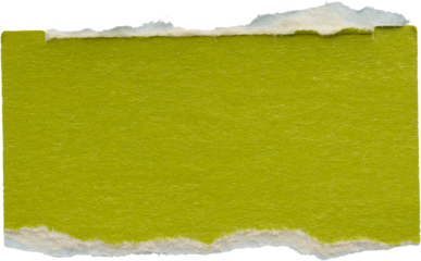 piece of green paper tear isolated on white background