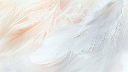 Soft white feathers delicately overlap on a creamy background. soft colorful feathers bright background