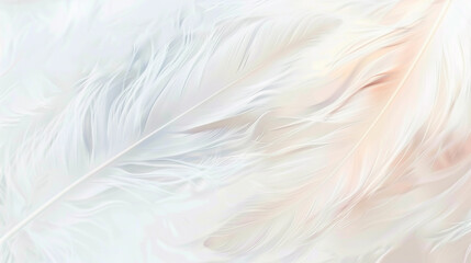 Fototapeta premium Soft white feathers delicately overlap on a creamy background. soft colorful feathers bright background