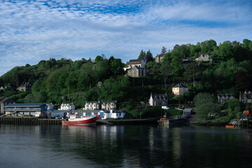 boats in the harbor