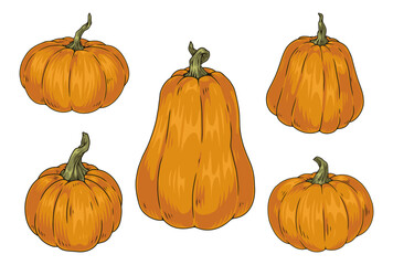 Appetizing pumpkins set logotypes colorful