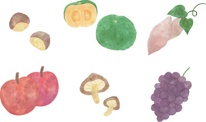 水彩タッチの秋の味覚のベクターイラストセット