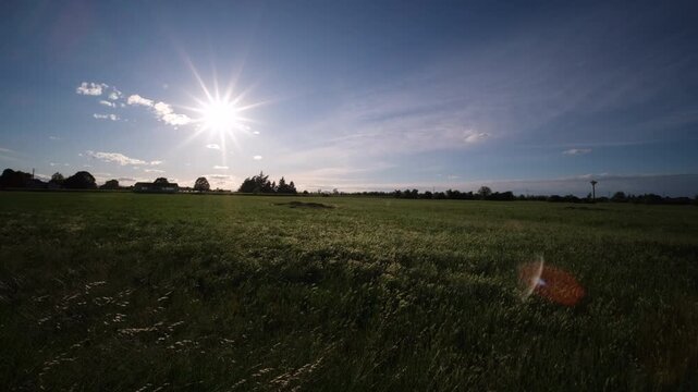 panorama of the Po valley with green wheat in sunny day. High quality 4k footage