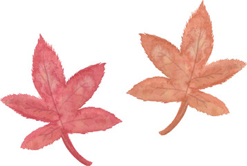 水彩タッチの紅葉した楓の葉っぱのベクターイラスト