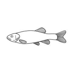 black and white fish vector illustration. Commercial fishes. Fresh raw edible cartoon fish.  Fish Silhouette Seafood Product