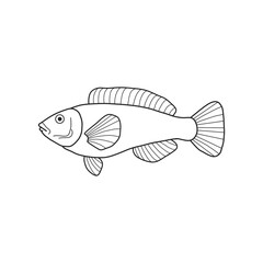 black and white fish vector illustration. Commercial fishes. Fresh raw edible cartoon fish.  Fish Silhouette Seafood Product
