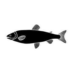 black and white fish vector illustration. Commercial fishes. Fresh raw edible cartoon fish.  Fish Silhouette Seafood Product