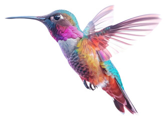 Naklejka premium PNG Colorful hummingbird in flight