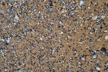 Pebble-Strewn Sandy Beach - Coastal Texture and Natural Seashore Beauty for Background or Design