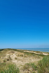 Summer Vacation Beach Scene with Sand Dunes and Clear Blue Sky Perfect for Travel Posters or Nature Designs