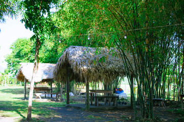 Small nipa hut house in the forest park with bamboo tree
