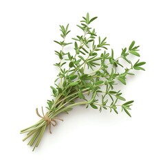 Fototapeta premium A fresh bundle of savory herbs tied together, perfect for cooking, seasoning, and adding aromatic flavor to your culinary dishes.