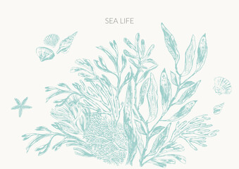 Sea life background in light green color with seaweed plants, laminaria, fucus, corals