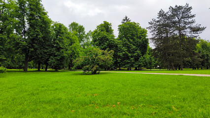 spring in Tivoli park in Ljubljana