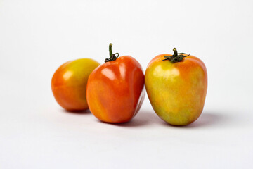 red and orange tomatoes 
