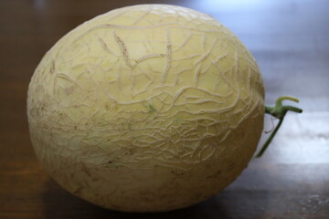 家庭菜園で出来た最高の甘いメロン。横。
