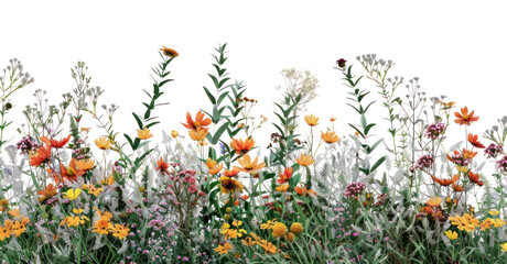 PNG Colorful wildflowers against white background