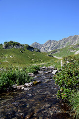 Valley of the mountain river Malaya Dukka in the mountains of the North Caucasus. Tourist trail to the lakes in the mountains of the Arkhyz resort, Karachay-Cherkessia, Russia © Oksana