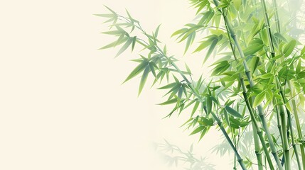 Fototapeta premium Fresh green bamboo stalks and leaves create a minimalist, serene natural background. 