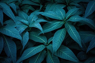 Fototapeta premium Dark Green Lush Foliage Texture