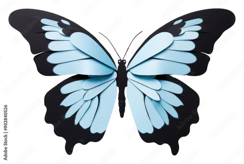 Wall mural png butterfly animal insect blue.