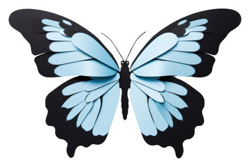 PNG Butterfly animal insect blue.