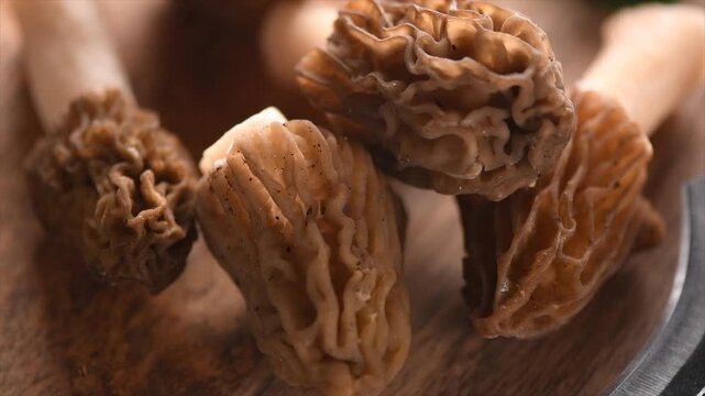 Morel mushrooms. Morchella. Verpa bohemica - edible delicious mushroom, early spring morels on a table, closeup, slow motion