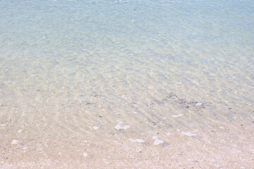 透き通っている海