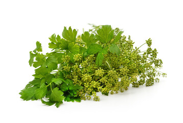 Parsley flower and leaves.