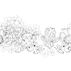 Vector seamless summer border, pattern. Tropical flowers composition, bouquet of proteas and exotic monstera leaves, plumeria. Hand drawn graphic. Black circuit silhouette