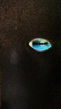 maschera con occhi che guardano l'acqua