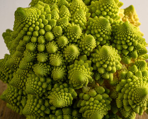 close-up photo of cabbage, branched inflorescence in middle of rosette of leaves, called...