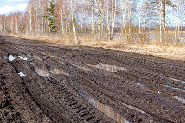 spring landscape with muddy swamp, forest road, spring, dirty wet road texture