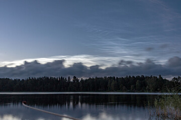 Fototapeta premium charming night landscape with silver clouds, silver clouds over the lake, dark forest silhouette in the background, mesospheric clouds
