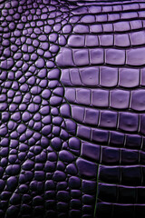 Dark purple crocodile or reptile leather texture.