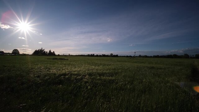 panorama of the Po valley with green wheat in sunny day. High quality 4k footage
