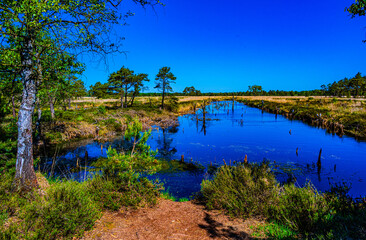 Moorenlandschagft Lüneburger Heide