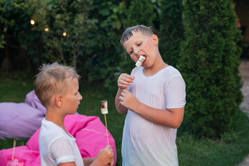 Fototapeta premium Two boy roasting marshmallows