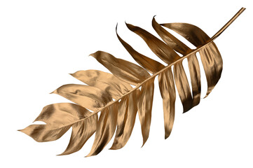 Golden tropical leaf PNG on transparent background Abstract monstera leaf decoration design, PNG