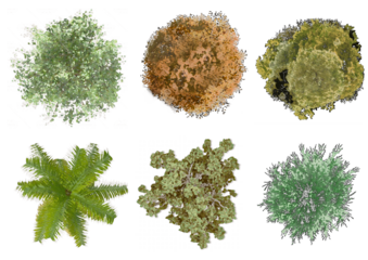 collection of tree plan, Tree Top View with transparent background. set of tree plan photoshop for architecture, landscape, urban planning resources