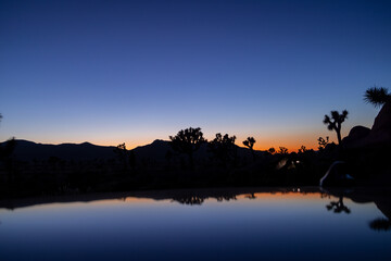 Night time desert in joshua tree