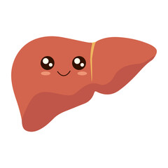 Healthy cute happy smiling Liver character. Flat style vector illustration cartoon funny cheerful organ liver for design