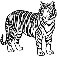 Tiger sideways vector 
