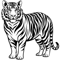 Tiger sideways vector 