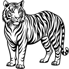 Tiger sideways vector 