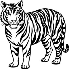Tiger sideways vector 