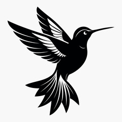 Silhouette Flying Hummingbird vector illustration with white background, Vector Birds Collection
